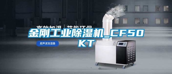 金刚工业91抖音免费看片_CF50KT