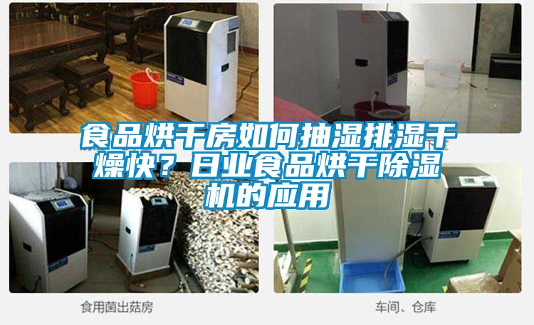 食品烘干房如何抽湿排湿干燥快？日业食品烘干91抖音免费看片的应用