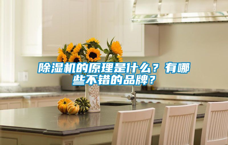 91抖音免费看片的原理是什么？有哪些不错的品牌？
