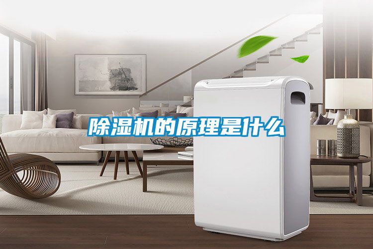 91抖音免费看片的原理是什么