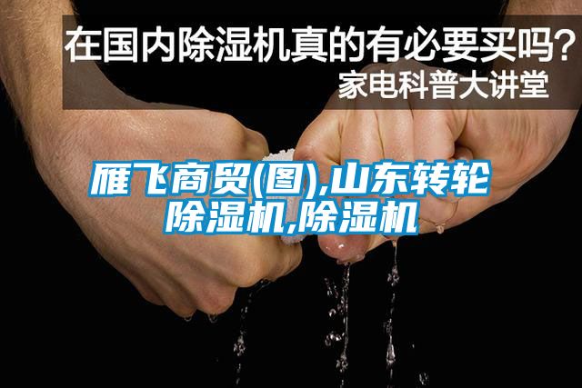 雁飞商贸(图),山东转轮91抖音免费看片,91抖音免费看片