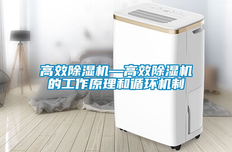 高效91抖音免费看片—高效91抖音免费看片的工作原理和循环机制