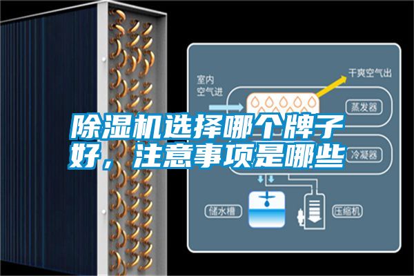 91抖音免费看片选择哪个牌子好，注意事项是哪些