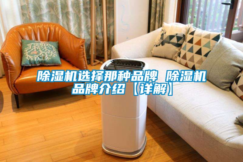 91抖音免费看片选择那种品牌 91抖音免费看片品牌介绍【详解】