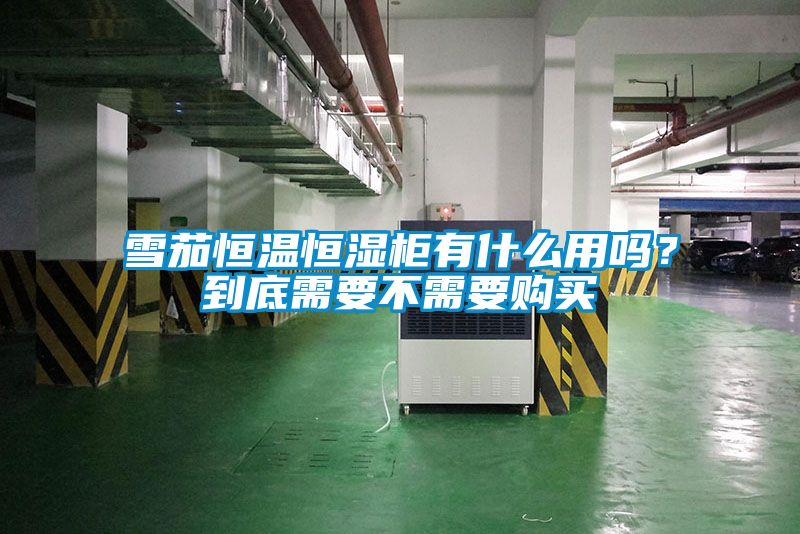 雪茄恒温恒湿柜有什么用吗？到底需要不需要购买