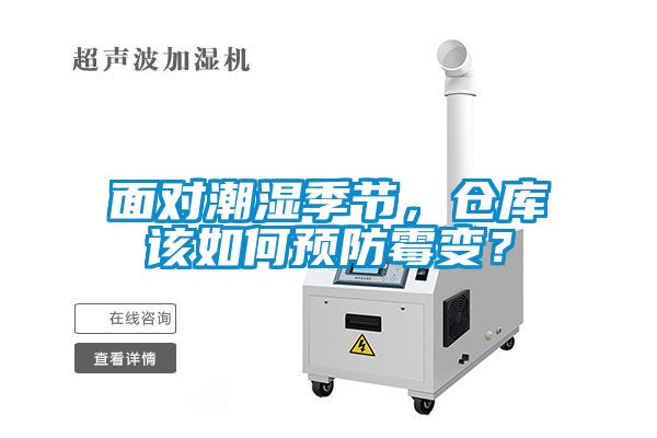 面对潮湿季节，仓库该如何预防霉变？
