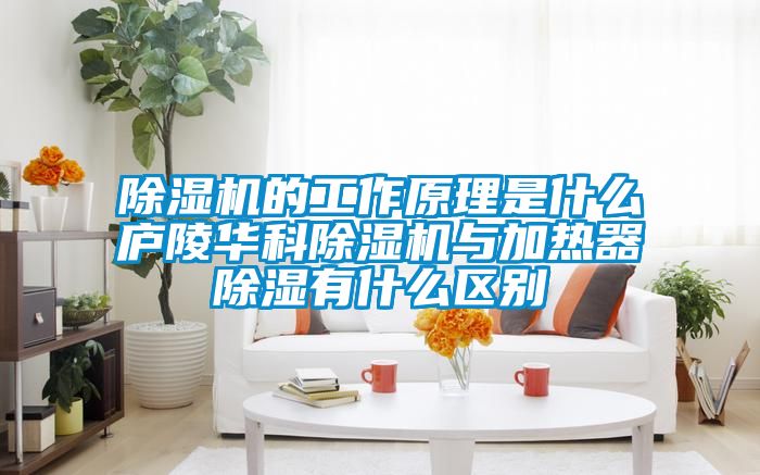 91抖音免费看片的工作原理是什么庐陵华科91抖音免费看片与加热器除湿有什么区别