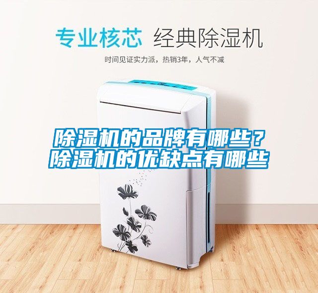 91抖音免费看片的品牌有哪些？91抖音免费看片的优缺点有哪些