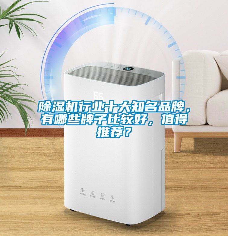 91抖音免费看片行业十大知名品牌，有哪些牌子比较好，值得推荐？
