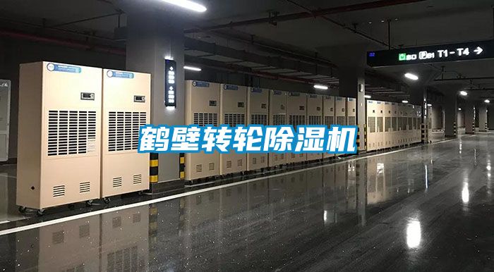 鹤壁转轮91抖音免费看片