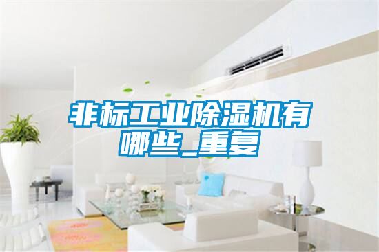 非标工业91抖音免费看片有哪些_重复
