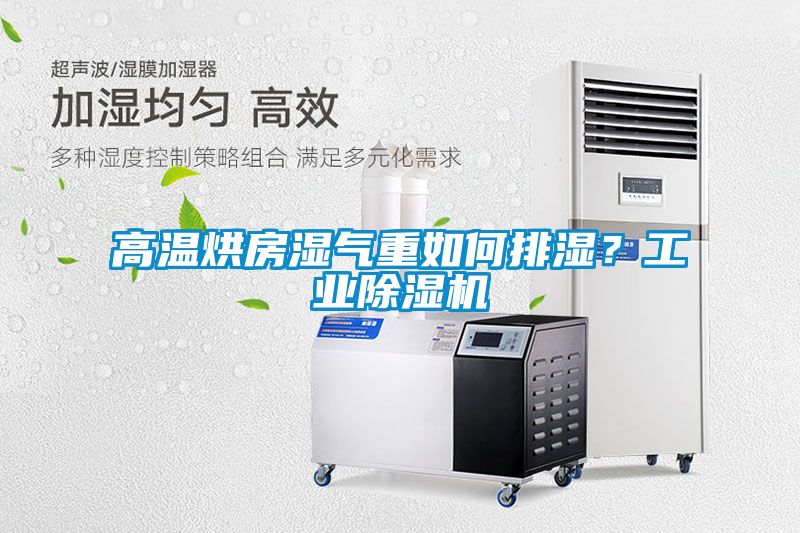 高温烘房湿气重如何排湿？工业91抖音免费看片
