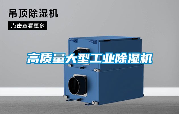高质量大型工业91抖音免费看片