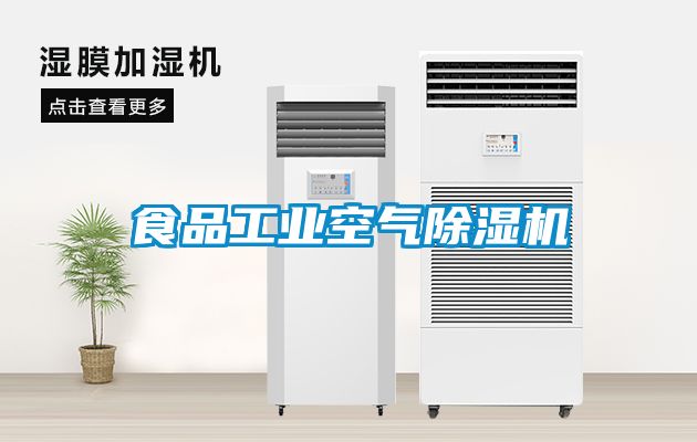 食品工业空气91抖音免费看片