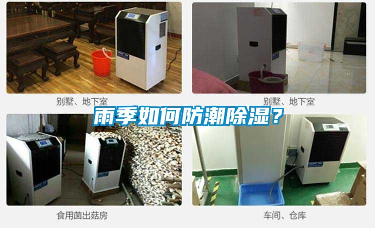 雨季如何防潮除湿？