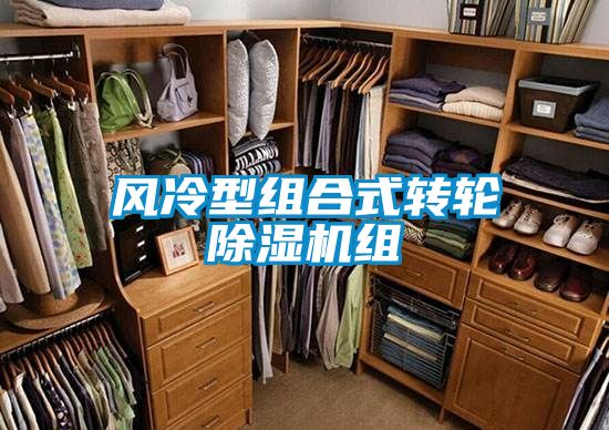 风冷型组合式转轮91抖音免费看片组