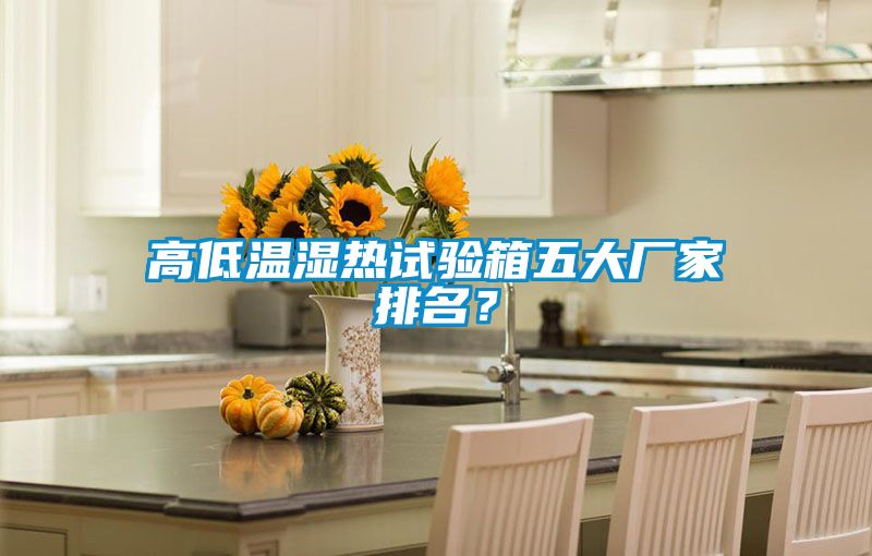 高低温湿热试验箱五大厂家排名？