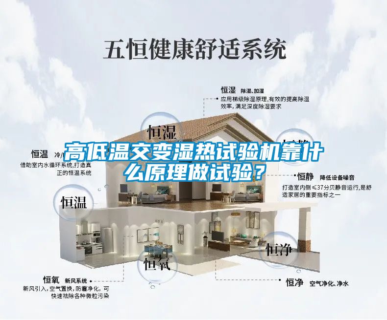 高低温交变湿热试验机靠什么原理做试验？