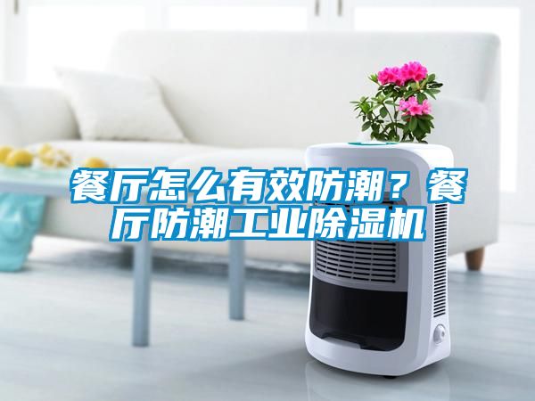 餐厅怎么有效防潮？餐厅防潮工业91抖音免费看片