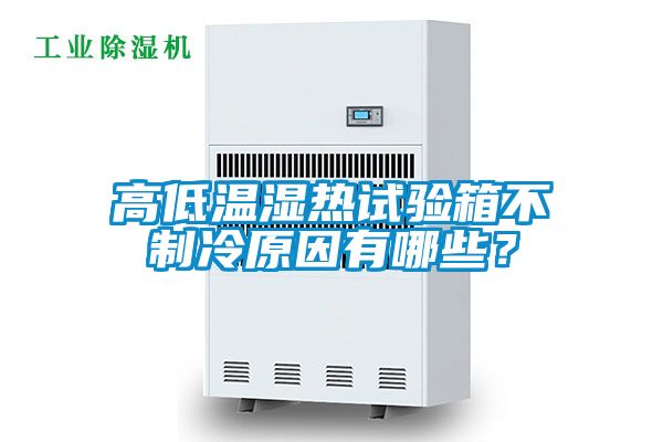 高低温湿热试验箱不制冷原因有哪些？