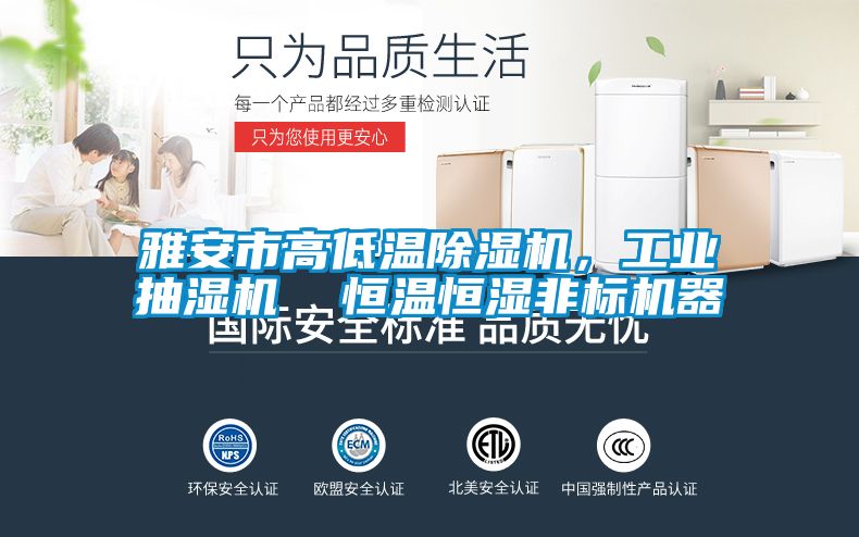 雅安市高低温91抖音免费看片，工业抽湿机  恒温恒湿非标机器