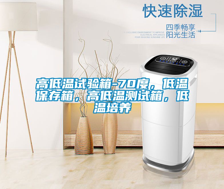 高低温试验箱-70度，低温保存箱，高低温测试箱，低温培养