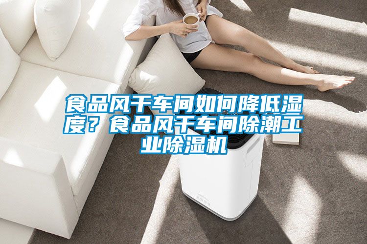 食品风干车间如何降低湿度？食品风干车间除潮工业91抖音免费看片